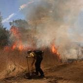 Incendios forestales
