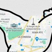 pollo CDMX viral criticas