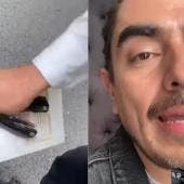 rey grupero