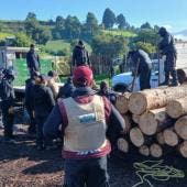 Bosque de Agua tala ilegal