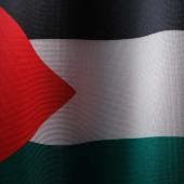El reconocimiento de Palestina como Estado ha sido progresivo en distintas regiones del mundo.