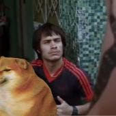 Amores Perros