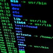 Los atacantes combinan los ataques de fuerza bruta con técnicas de ingeniería social, como el phishing, y utilizan información pública o filtrada para adivinar contraseñas.