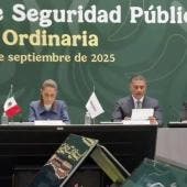 Consejo Nacional de Seguridad Pública 