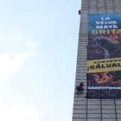 Greenpeace 
