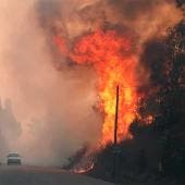Portugal sufre incendio forestal