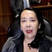 niega Aracely Brown Figueredo nexos Los Mayos.jpg