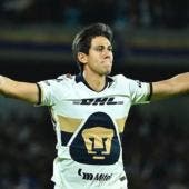 pumas.jpg