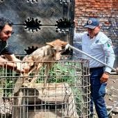 Rescate de Ptofepa