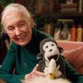 Jane Goodall