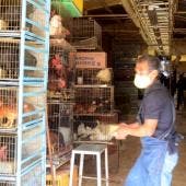 Mercado Sonora