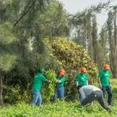 aporta voluntariado manos Xochimilco.jpg