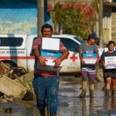 Damnificados