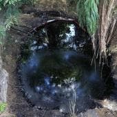Como parte de las acciones de apoyo a las comunidades, este sábado se entregaron 657 despensas, 40 tinacos y 6 mil 384 botellas de agua