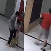 Empuja a un perro y el dueño lo noquea