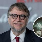 La película, basada en la obra de Mary Shelley, se estrenará en Netflix el 7 de noviembre de 2025, permitiendo su visualización en formato digital.