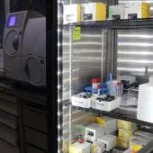 farmaceuticas