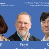 Nobel Medicina tolerancia inmunologica periferica.jpg