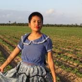 ordenan liberar Catalina Xochitl Santiago.jpg
