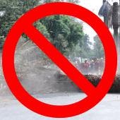 Los estípites de las palmeras retiradas serán reutilizados como mobiliario urbano en parques y espacios públicos, tras un tratamiento especializado