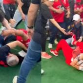 F1 Pelea
