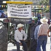 Productores de maíz