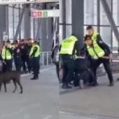 El incidente, captado en video y difundido en redes sociales, mostró momentos de tensión en los que incluso un perro negro se lanzó entre los uniformados