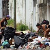 tardaria Mexico medio siglo erradicar pobreza.jpg