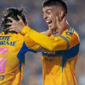 Tigres 
