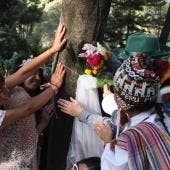 casan 11 personas arbol Parque Mexico.jpg
