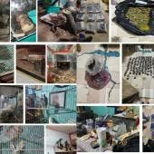 Una vez obtenida la autorización del Juez de Control, los agentes ingresaron al inmueble en un operativo conjunto.