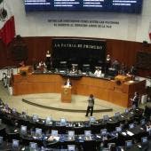 chapulinean magistrados cargos regionales.jpg