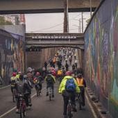 Las autoridades señalaron que el programa superó con creces la expectativa de recaudación. Inicialmente se proyectaba un millón de licencias emitidas al cierre de 2025