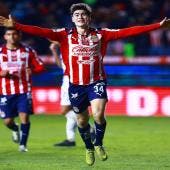 Hormiga a la selección 