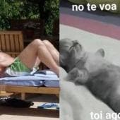 MORRISSEY CANCELA GIRA SUDAMÉRICA