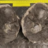 Patrimonio histórico de México y Ecuador