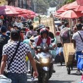 El Consejo Consultivo estará integrado por representantes de los sectores académico, empresarial, gubernamental y cultural