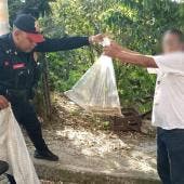 rescatan vibora Alvaro Obregon.jpg