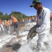  Río Sonora limpieza 
