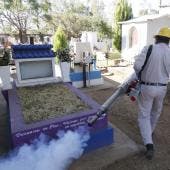 alerta epidemiologica rebrote Chikungunya Mexico.jpg