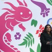 Brugada 480 mdp Puente Concordia.jpg