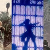 Conciertos japoneses en México