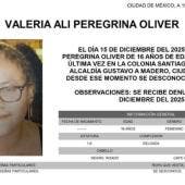 desaparece Valeria Ali Peregrina Santiago Atzacoalco.jpg