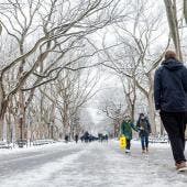 despierta Nueva York primera nevada temporada.jpg