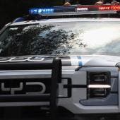 detienen mujer robo muerde Centro.jpg