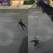 Gringo cae del cielo 