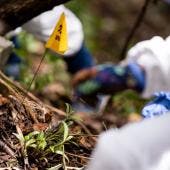 hallan 20 restos oseos Topilejo Tlalpan.jpg