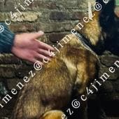 hallan cuerpo agente SSC Alvaro Obregon.jpg