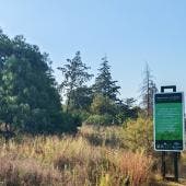 La FGJ investiga la muerte de un hombre no identificado hallado en el Cerro de la Estrella.