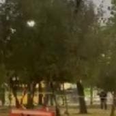 matan hombre Emilio Venustiano Carranza.jpg